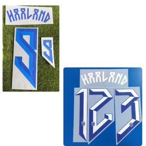 2024 Nationaal team #10 Degaard Nameset #9 Haaland Printing Soccer Patch Badge