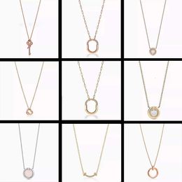 2024 Nieuwe 18K Designer sieraden Lock ketting voor vrouwen 925 Sterling zilveren goudplaat hart hanger kettingen moissanite choker sieraden swan sieraden cadeau