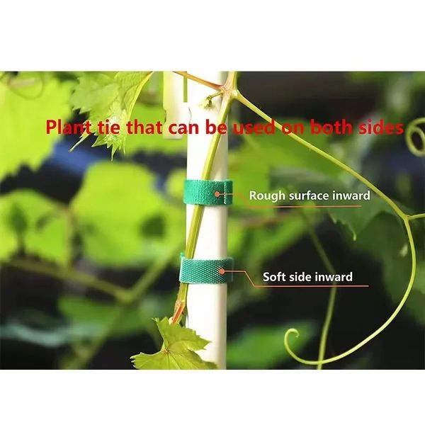 2024 Nouveau 2m Green Garden Twine Plant Plante Bandage Bandage de plante Boucle de jardin Bambou Bamboo Enveloppe de support Accessoires de jardin