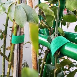 2024 new 3 Rolls Green Garden Twine Plant Ties Nylon Plant Bandage Garden Hook Loop Bamboo Cane Wrap Support Garden Accessoriesfor Plant