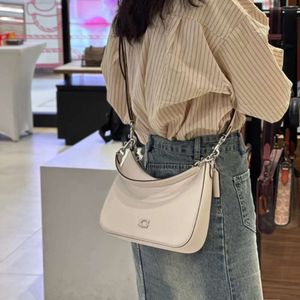 2024 Nouveau classique féminin Hobo Half Moon Underarm Tabby 20 Single épaule Crossbody Bag 80% Factory Wholesale