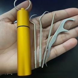 2024 NEW Convenient Stainless Steel Toothpick Set for Portable On-the-Go Flossing and Reusable Teeth Cleaning Solution for Busy Lifestyles