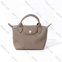 2024 Nouvelle crossbody women mini-hobe sac HOTSALE DUMPLINGS SAG TOTE MAIN DESSION DESIG