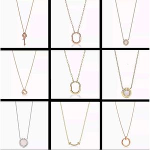 2024 Nieuw designer ketting cadeau hebben sieraden natuur Engelse plaat goth hars hanger kettingen moissanite choker sieraden zwaan