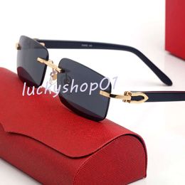 2024 Nouveaux lunettes de soleil de designer pour lunettes Buffalo Horn Hommes Femmes Classique Square Loisirs Lunettes rectangulaires multicolores Cadres de mode Sunglass catie