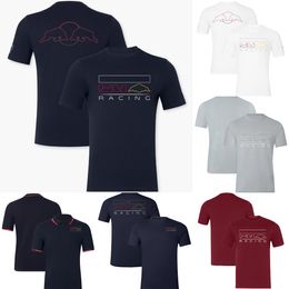 2024 Nieuw F1 Racing Logo T-shirt Formule 1 Team Driver Fans Polo Shirts T-shirts Summer Extreme Sports Casual Men's T-Shirt Women Jersey