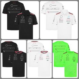 2024 Nieuw F1 Racing Suit T-shirt Formule 1 Team Zomer Summer Korte mouwen Polo shirt Kleding Herenaanpassing