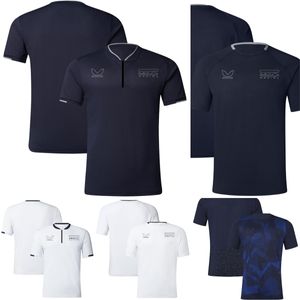 2024 Nueva camiseta del equipo F1 Fórmula 1 Racing Camisetas para hombre Summer Driver Fans Polo Shirt Jersey Casual Sports Men Mangas cortas de gran tamaño