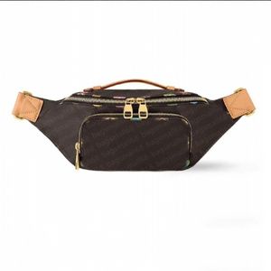 2024 NOUVEAU FANNY PACK PORTS SAG STREET STYLE STAPHER SAGE CROSSBOCK FORCH SAG COLORFURE CLASSIGN CLASSID PLAID BUMBAG Multi Styles Canvas Matériau