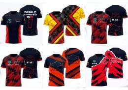 2024 NOUVELLE FORMULA FAND FAND Équipe de course F1 T-shirts Polo Men's Summer Short-Mared Same Stuer Customation Taille Enfants 100cm-6xl