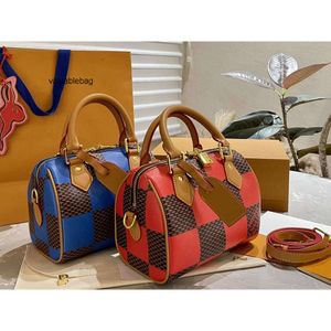 Mini sac Boston de luxe de styliste pour femmes, sacs d'oreiller, sacs à bandoulière de styliste, sac à main à la mode, nouvelle collection 2024
