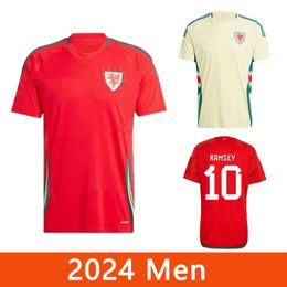 2024 New Wales Voetbalshirts 2024/2025 Thuis- en Uitshirt Ramsey Johnson Wilson James Davies Spelerversie