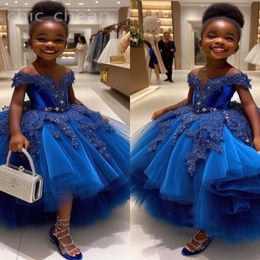 2024 Royal Blue Lace Flower Girl Robes Robe De Bal Tulle Tiers Luxueux Petite Fille De Noël Peageant Anniversaire Baptême Tutu Robe Robes ZJ429