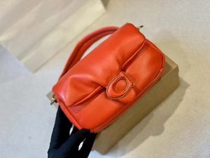 2024 Sac à bandoulière Sac à main en nylon de haute qualité Vendre Femme Luxurys Sac de créateur de mode Sac à main classique Sac à main plissé doux Sac à dos Soft Hasp Oreiller Femmes Totes