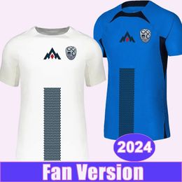 2024 SLOVÉNIE MENSE MAISON SOCCER MEUX Équipe nationale Brekalo Bijol Lovric Vipotnik Kurtic Home Shirts de football