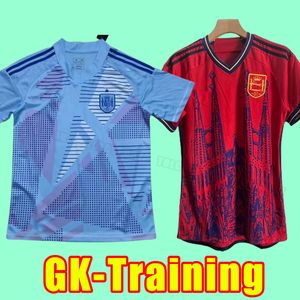 2024 Espagne Jerseys de football Espana ANSU FatiSio Morata Ferran Koke Gavi Azpilicueta C.Soler 24 25 World Ramos Cup Football Shirts Men Training Training Set Gachine Gardien de but