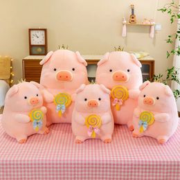 2024 animaux en peluche poupées en peluche mignon 30CM nouveau câlin sucette cochon jouet en peluche cadeau d'anniversaire