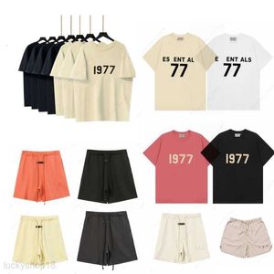2024 Summer Designer T-shirt Ess 1977 Marque Essentiallst Casual Confortable Respirant Demi-manches Top Mode Shorts Cool Survêtement Chemise