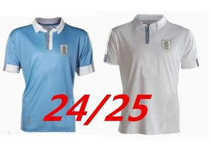 2024 Uruguay voetbalshirts jubileum 100e speciale L.SUAREZ E.CAVANI N.DE LA CRUZ eigen shirt G.DE ARRASCAETA F.VALVERDE R.ARAUJO R.BENTANCUR voetbaluniform 999