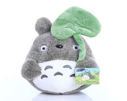 20cm 25cm Totoro Plux jouet avec feuilles de lotus Animal en peluche Coton Gray Girl039S Gift Kids Child Birthday Toys6120154