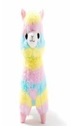 20cm Cute Rainbow Alpacasso Kawaii Alpaca Llama Arpakasso Soft Plush Toy Doll Animales relleno de niños Boy Girly Gift9637079