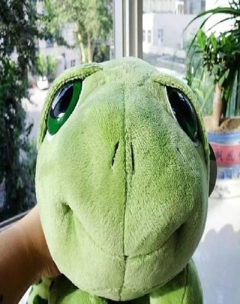 20 cm peluche poupée super vert grands yeux tortue animal enfant bébé anniversaire noël jouet cadeau 5560970