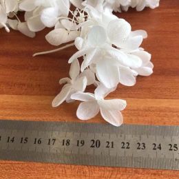 20g / environ 3 ~ 4 cm Pétal de fleur, vraie naturel fraîche naturel Fleurs de fleurs séchées Hortensia Hortensia Fleurée, éternelles hortensias à grande feuille