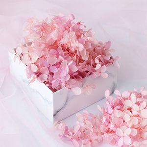 20g Natuurlijke vers bewaard gebleven bloemen gedroogde hydrangea hortensia bloem hoofd voor diy real eeuwige leven bloemen materiaal bruiloft decor T200103