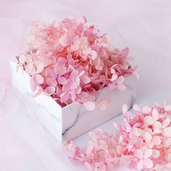 20g naturel Fleurs fraîches en conserve séchées Hydrangea Corolle pour le bricolage réel la vie éternelle Fleurs Matériel de fête de mariage Décor T200103