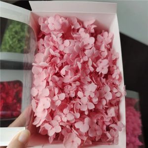 20G, echte gedroogde natuurlijk vers bewaard gebleven Ana Hydrangea Flowershead, eeuwige kleine bladeren bloemblaadjes voor DIYY bruiloftdecoratie