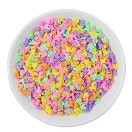 20g Slime Crystal Mud Epoxy Accessory Clay Slices Small Fresh Beaded Polymer Mixed Series 3D Flake Sprinkle Hairpin Decor 0943