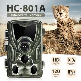 Caméra de chasse et de suivi des sentiers de chasse, écran LCD de 20 pouces, 20mp 1080P, Vision nocturne, étanche, piège Po HC801A, Surveillance sans fil de la faune, 240104