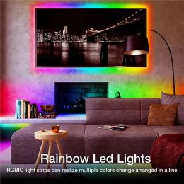 20m WS2812B LED Strip voor kamer RGBIC Smart Light Strips Bluetooth -besturing Luces Luminous Decor 5050Smd DreamColor Lamp