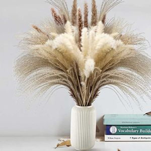 20pc flores secas Bulrush de caña natural para decoración Drea Real Pampas Grass Fiesta Boda Tall Fall Home Decoración Y