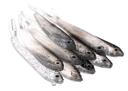 20pcs 75cm 25g Bionic Fish Silicone Fishing Lure BAITS LURS ACCESSOIRES DE PESCA BAIT ARTIFICIAL8578813