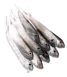 20pcs 75cm 25g Bionic Fish Silicone Fishing Lure BAITS LURS ACCESSOIRES ARRIFICIAL BAIT PESCA6370714