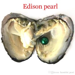 20pcs / lot 9-12mm huître perlière Edison d'eau douce mélangée 16 couleurs perle naturelle de cercle de qualité supérieure dans un emballage sous vide pour cadeau Surprise
