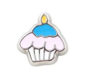 20 stks / partij ijs cupcake drijvende medaillon charmes fit voor glas magnetische geheugen drijvende medaillon hanger sieraden maken