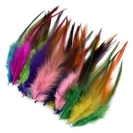 20pcs / lot Faimations de faisan pour artisanat Vêtements bijoux Catcher de rêve Natural Chicken Carnival ACCESSOIRES ACCESSOIRES
