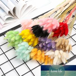 20 pcs Naturel Fleurs Séchées Bouquet Coloré Faux Queue Herbe Bouquet Longues Grappes De Mariage Maison Décorations De Pâques Prix Usine conception experte Qualité Dernier Style