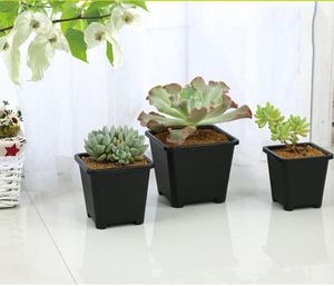 En gros Black Square Nursery Garden Succulent pots pour salle intérieure Bonsai Plantation mini pot de fleurs fournit divers pots de style option
