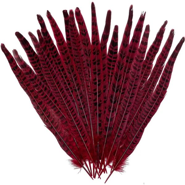 20pcs Turquie rouge Autruche Plumes de canard d'oie de faisan Plumes de diy bijoux de création de bricolage