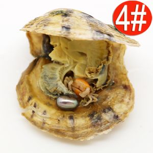 21 geverfd elliptische traan Akoya 6-8mm zoetwater gekweekte parels met oesters, vacuüm verpakte oester parel groothandel