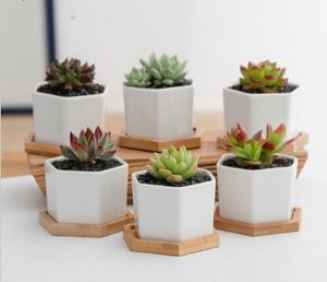 Ceramic Bonsai Pots en gros Mini Porcelaine en porcelaine blanche Fournisseurs pour planteurs de pépinières à domicile d'intérieur succulent