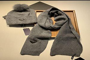 21Costume classique chapeau écharpe chaud super confortable mode hommes et femmes étiquette anti-contrefaçon générale carte suspendue complète Many5506185