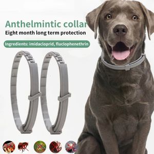 21pcs Dog Anti Flea and Ticks Cats Collar Pet 8 mois Protection Colliers rétractables adaptés aux accessoires de chat chiot 240428