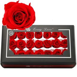 21pcs Grade B 2-3cm Natural Conserved Mini Roses Heads Beauty and the Beastforever Rose pour WeddingPartydiy Gift 240321