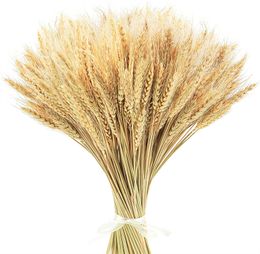 22 pulgadas, 100 Uds. Tallos de trigo secos, gavillas de trigo doradas, ramo de flores de orejas de trigo Natural para decoración de fiesta en casa o boda