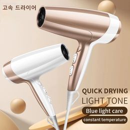 220 V Hair Dryer Professional 2000W Strong Power Blow Bross pour coiffure Barber Salon Tools Light Body 240325