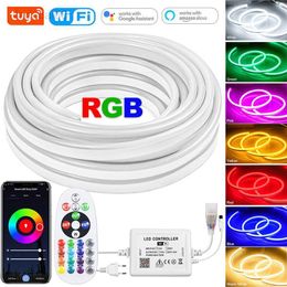 220V RGB Strip Light IP67 Music Ribbon Tape Flexible LED Neon Sign Lamp 5050 1-100m Bluetooth APP Alexa Tuya Smart WiFi HKD230706
